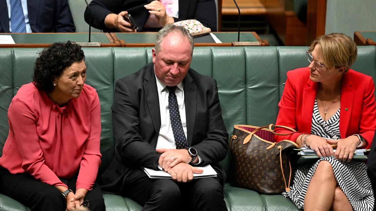 Monique Ryan (left) and Zoe Daniel sat next to Mr Joyce.