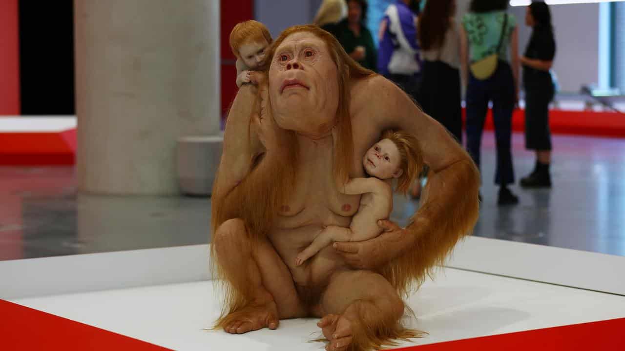 Patricia Piccinini's Kindred at the Not Natural exhibition