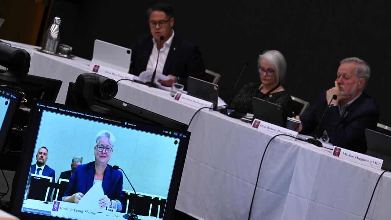 Penny Sharpe questioned by the brumby inquiry committee