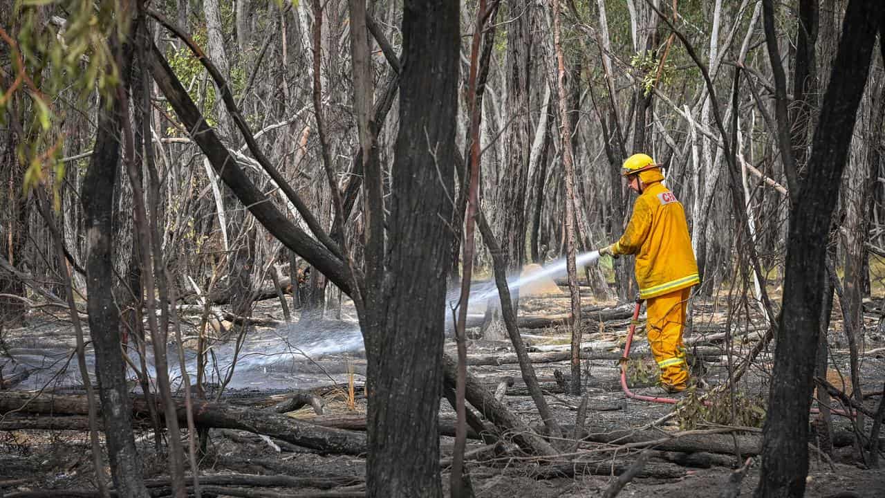 A firefighter dampens smouldering timber in Pomonal.