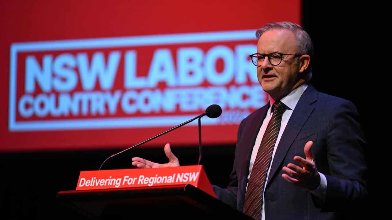 Anthony Albanese in Nowra