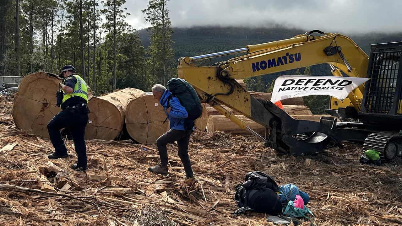 Bob Brown logging protest arrest.