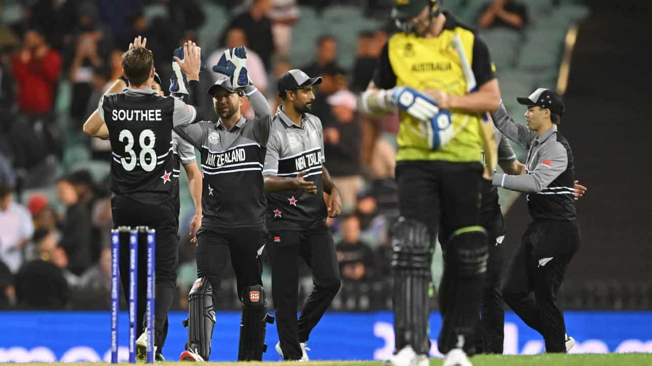 NZ players celebrate against Australia at 2022 T20 World Cup.