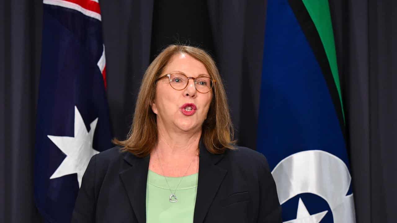 Infrastructure minister Catherine King