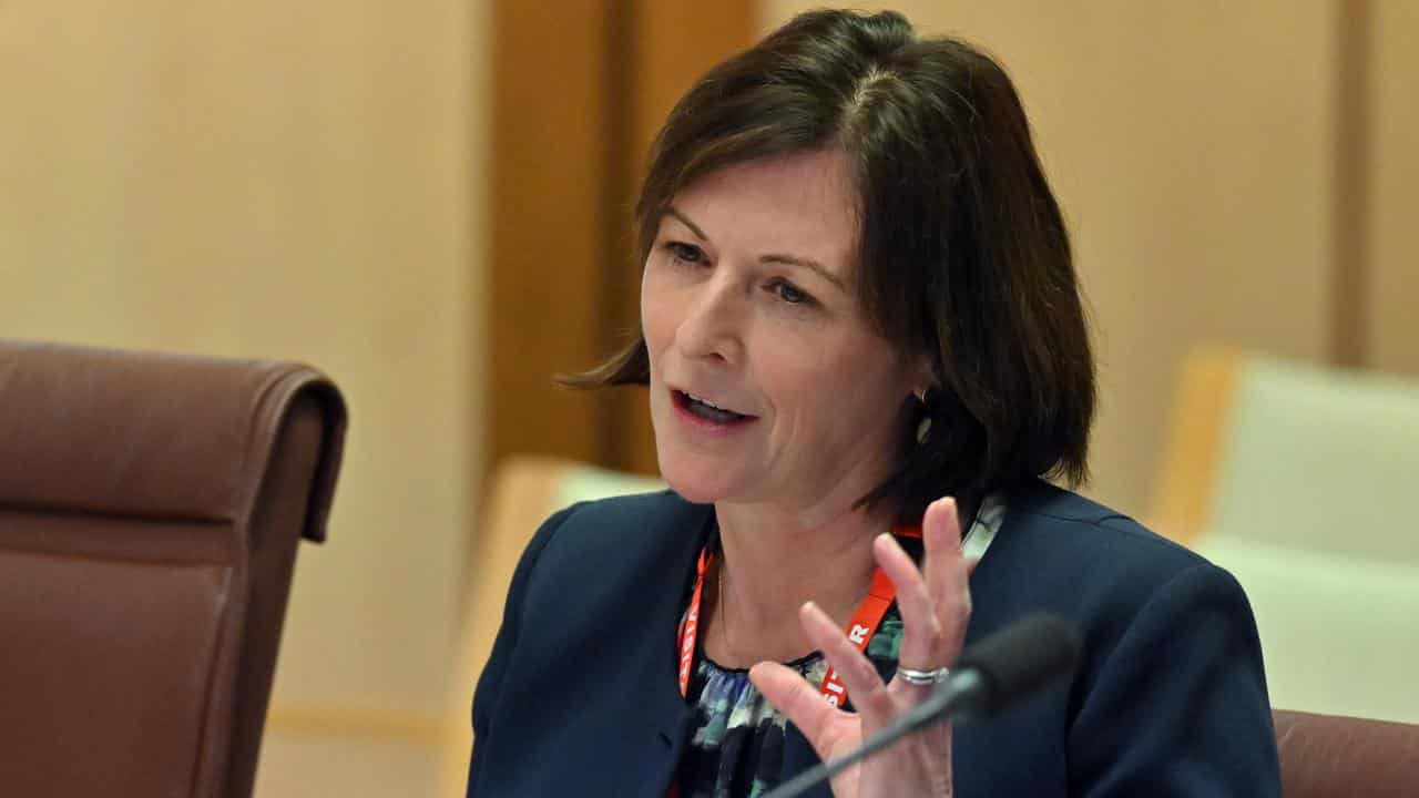 Professor Renee Fry-McKibbin at a Senate public hearing