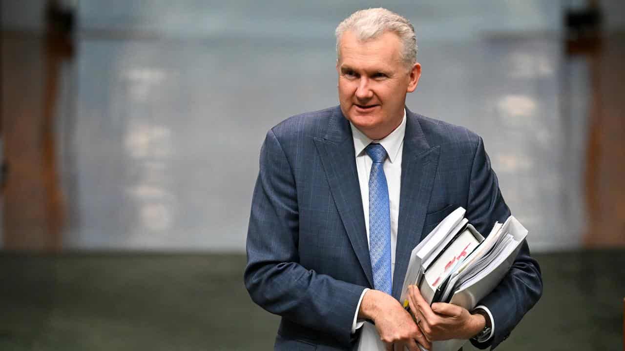 Tony Burke