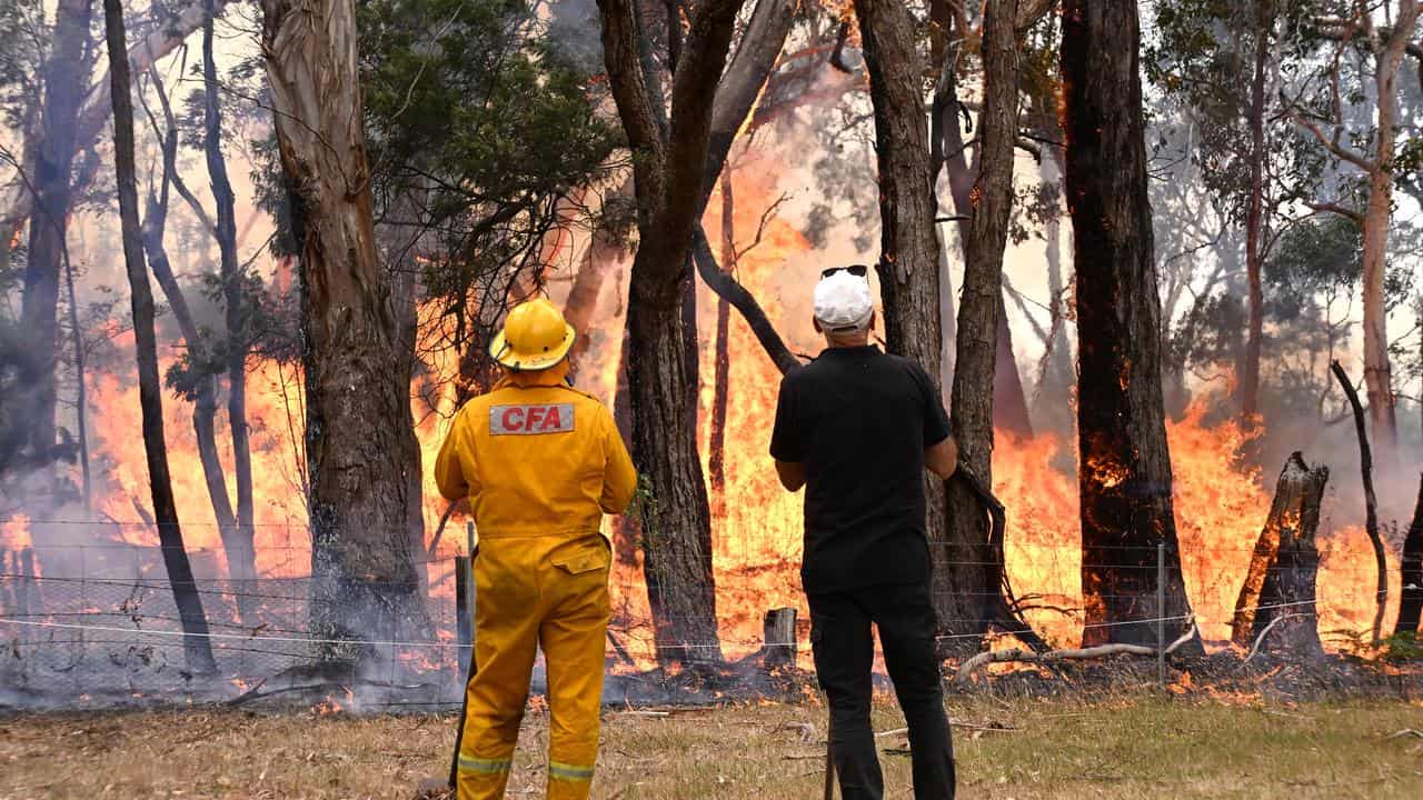 Ballarat bushfire 