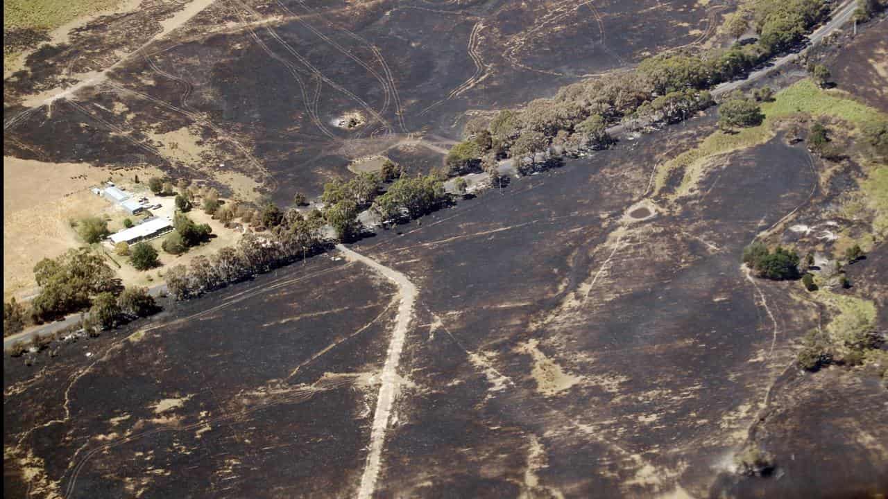 Burnt land near Beaufort in Victoria.