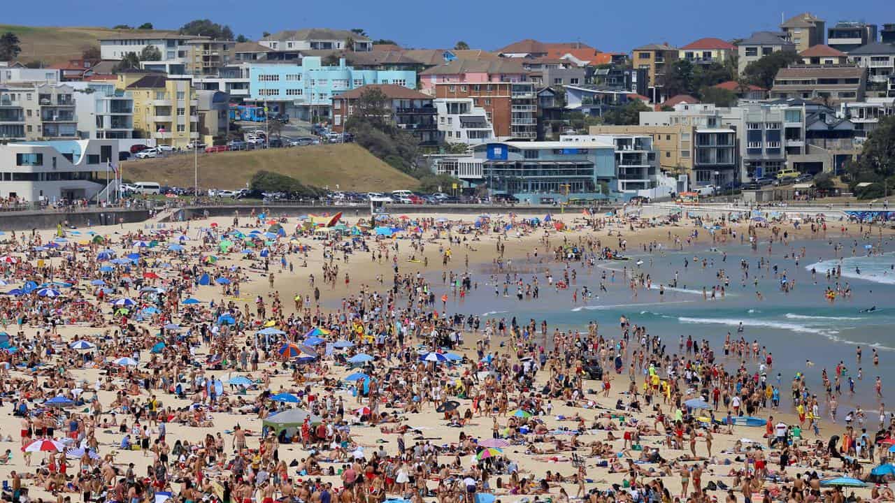 Bondi Beach