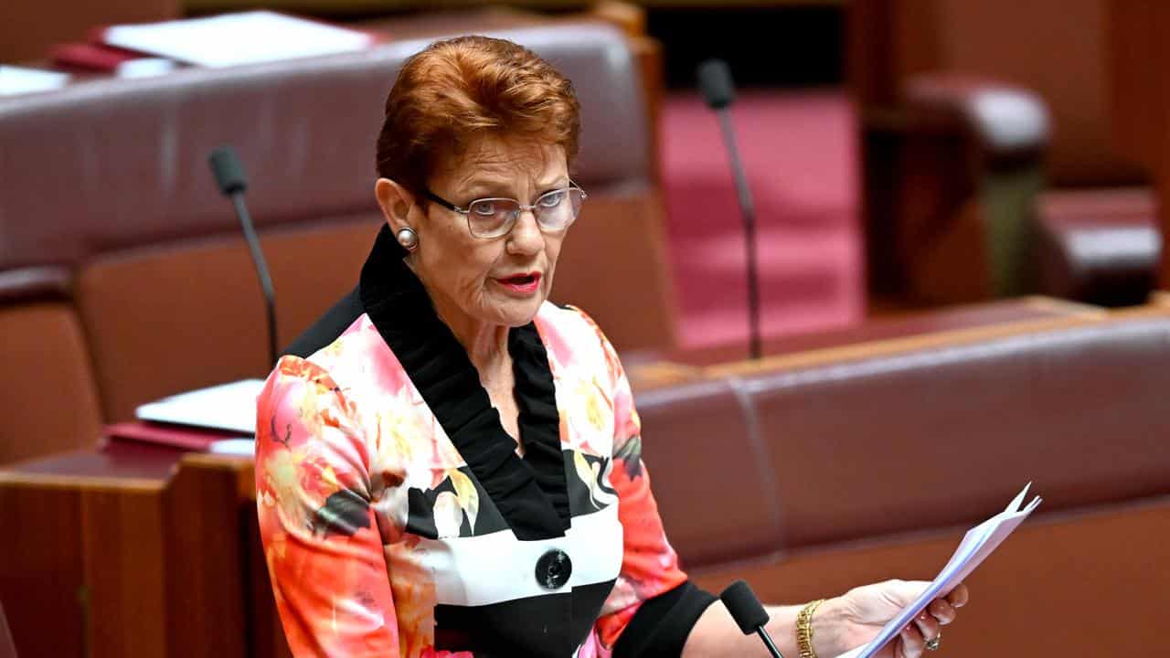 One Nation Senator Pauline Hanson