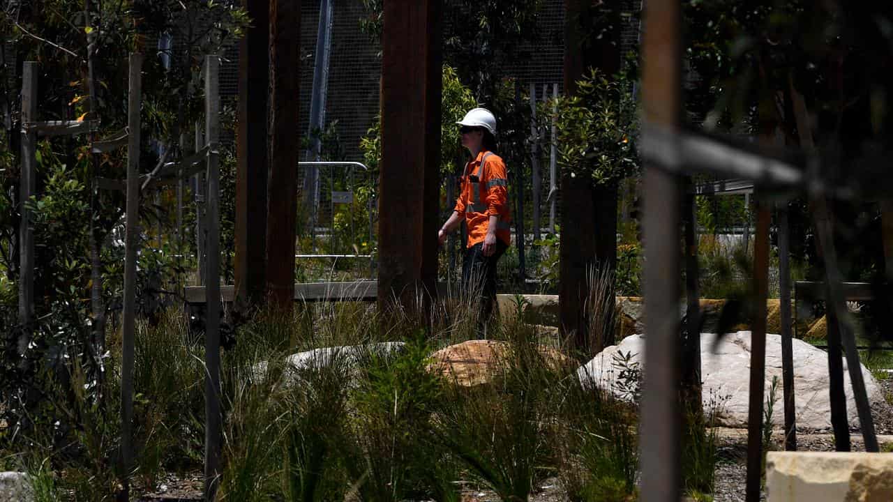 Rozelle Parklands asbestos contamination