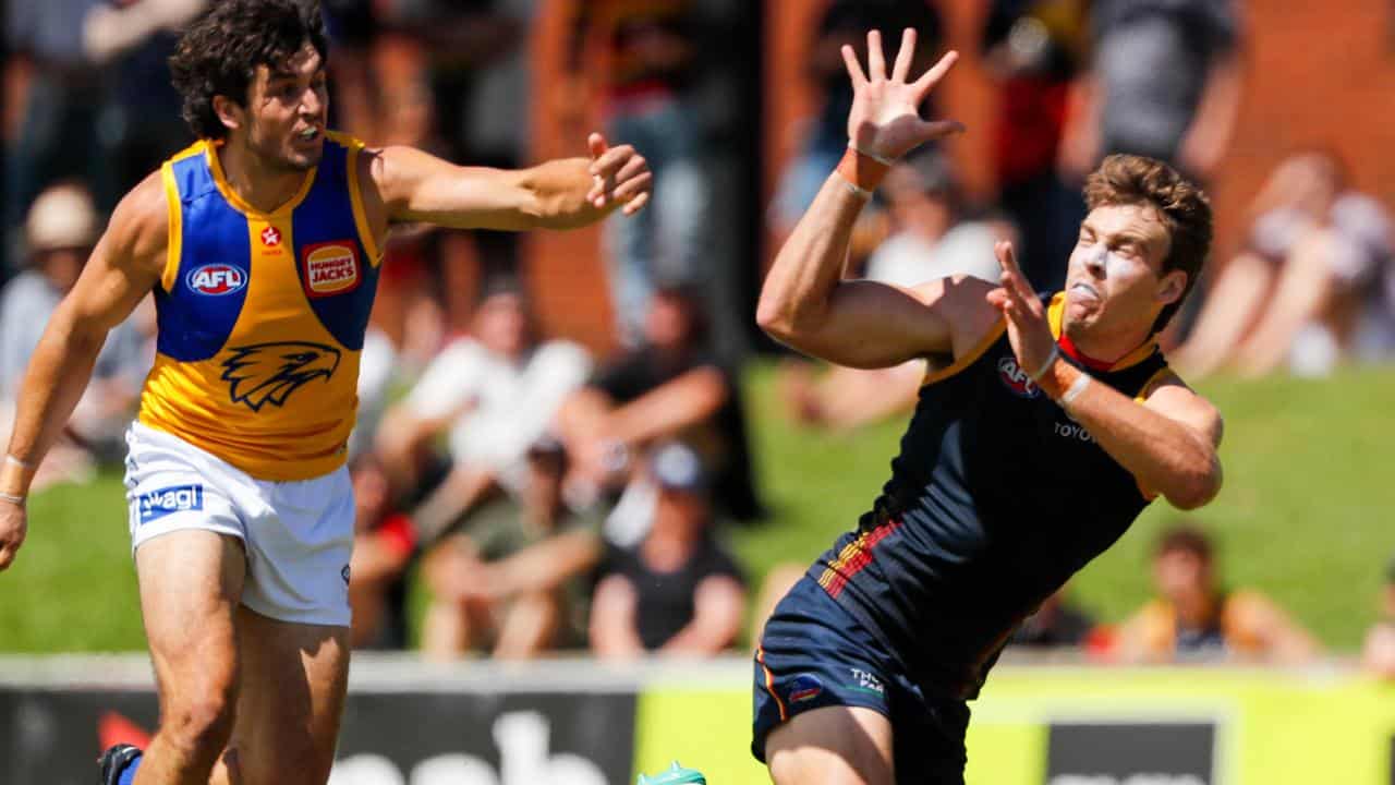 Adelaide's Riley Thilthorpe (right)