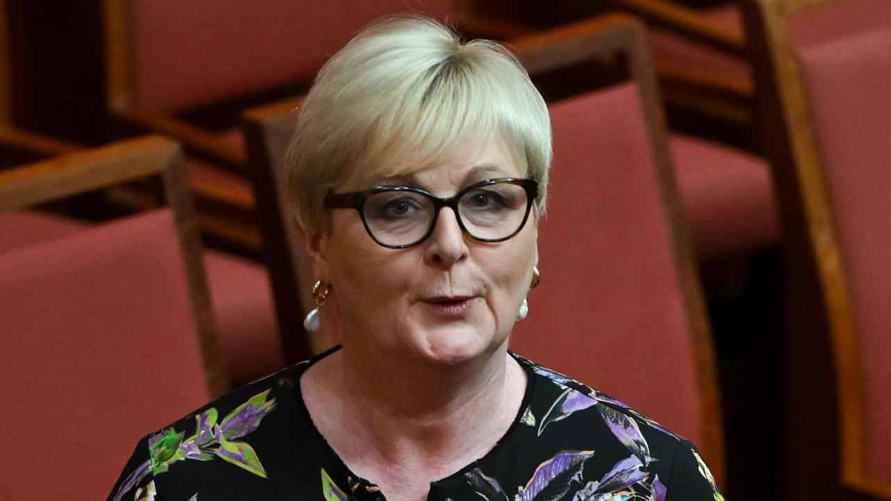 Liberal Senator Linda Reynolds (file image)