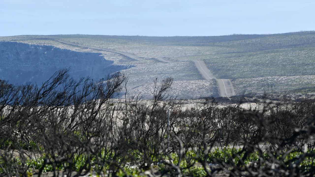 Kangaroo Island after fires in 2020