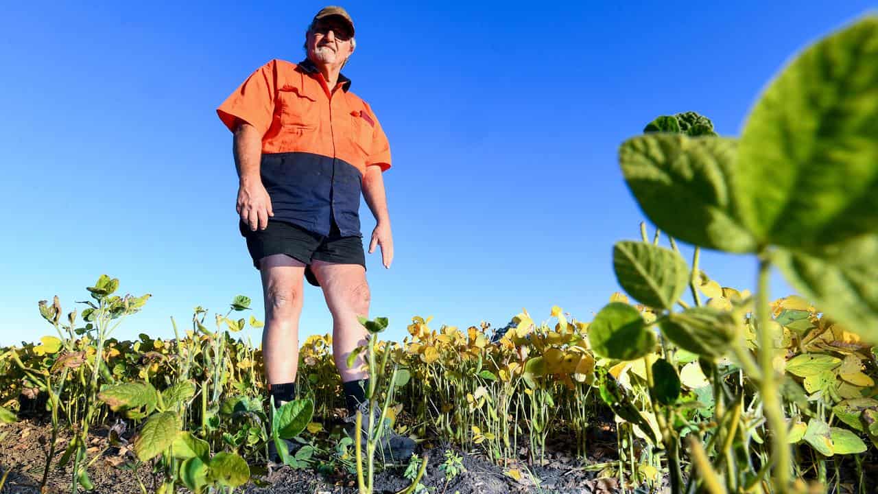 Cane farmer Larry Spann