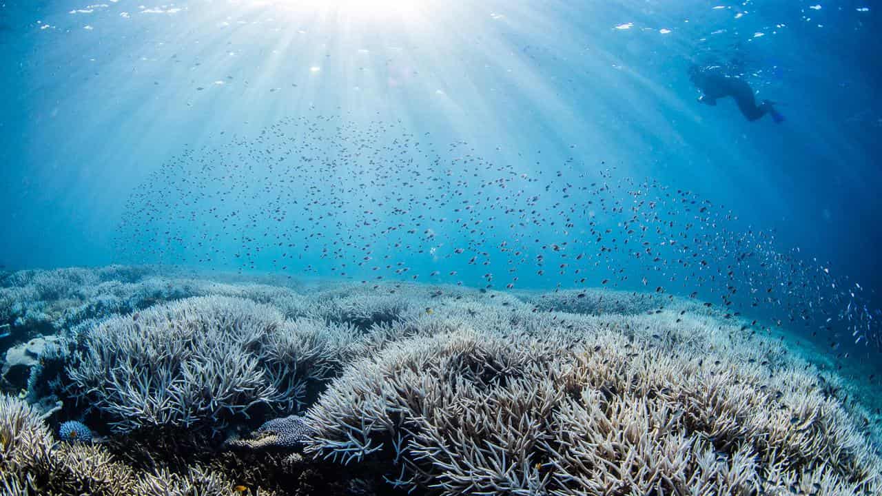 Great Barrier Reef