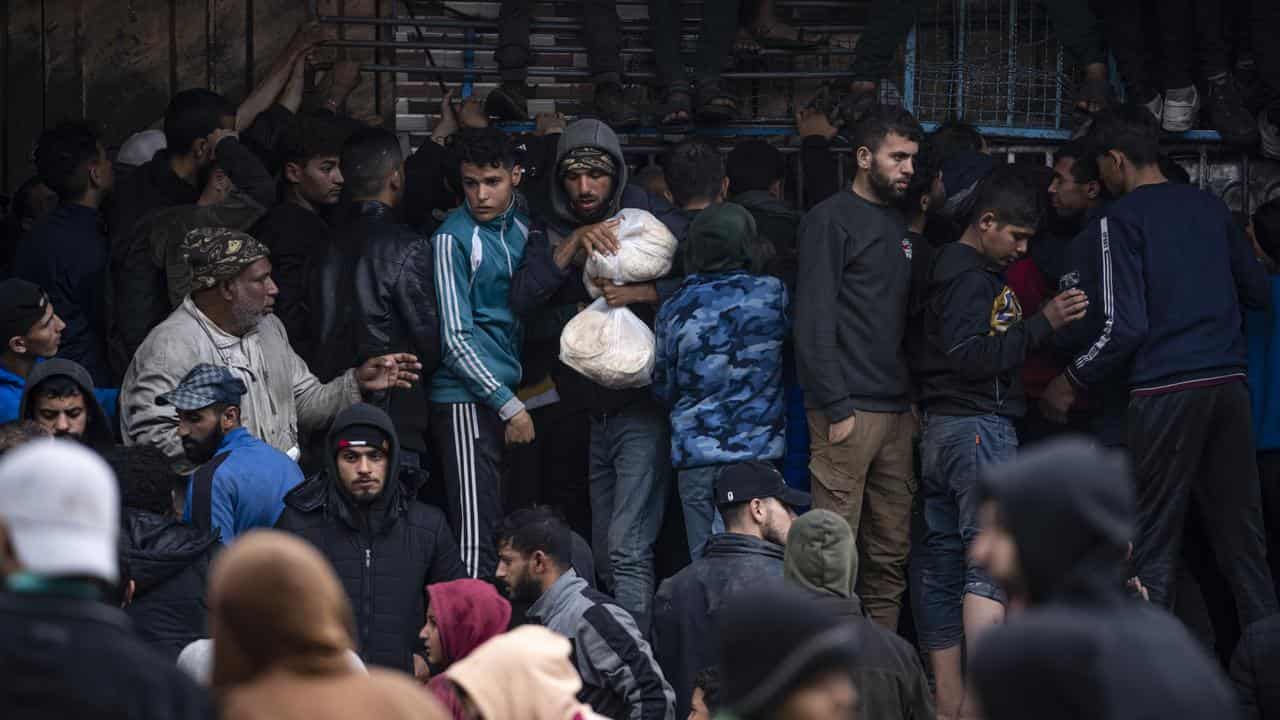 Palestinian crowds struggle to buy bread in Rafah