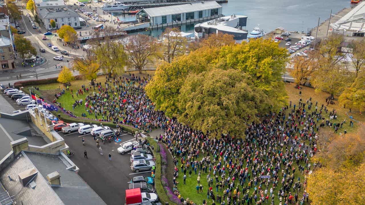 People rally in a park in Hobart