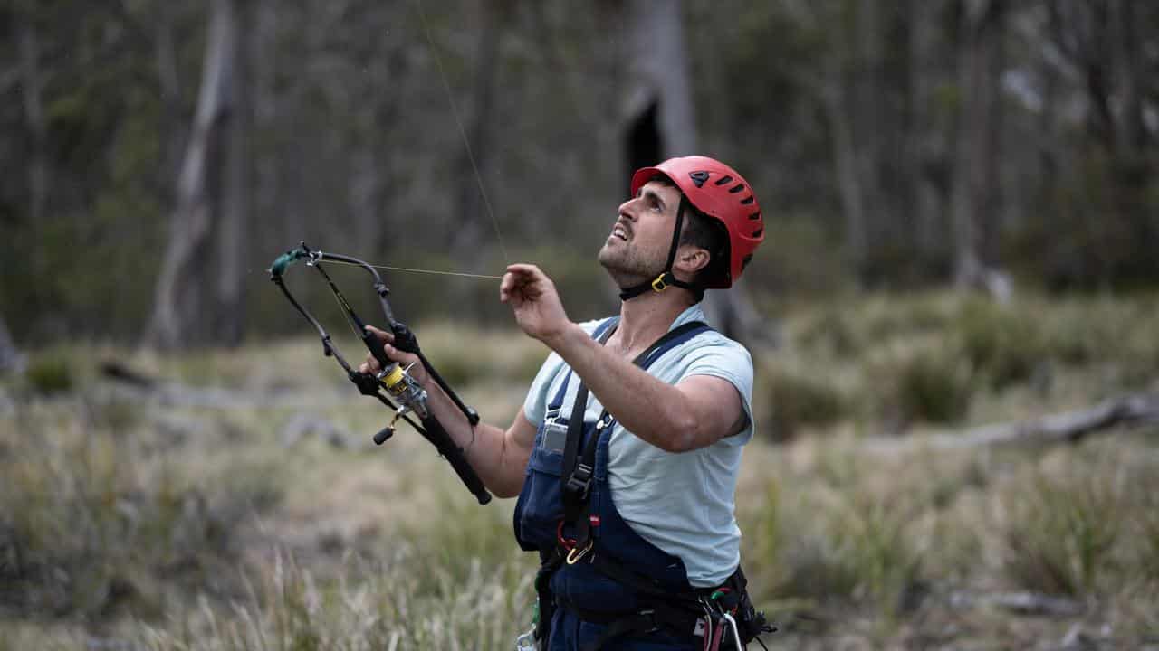 Swift parrot recovery team member Dr Dejan Stojanovic.