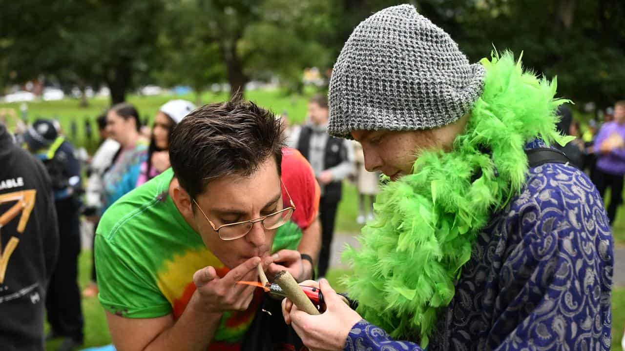 A man lighting a joint at a Melbourne rally