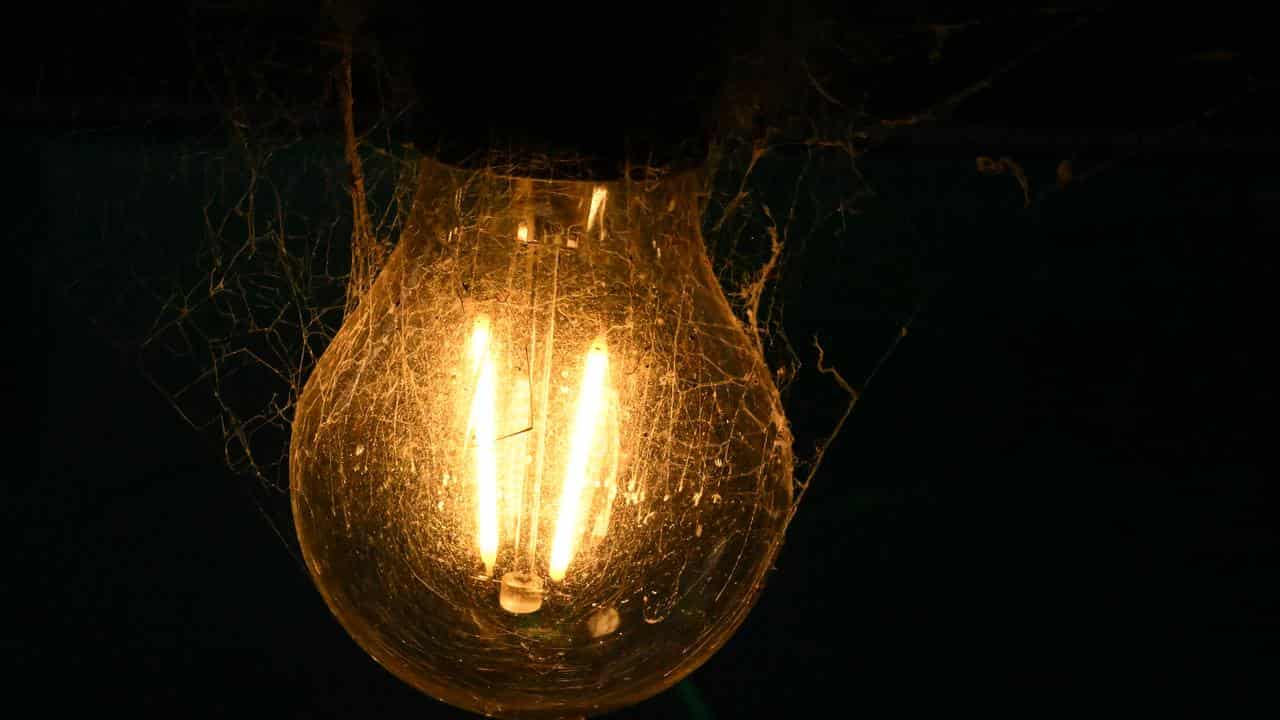 image of a powered light bulb