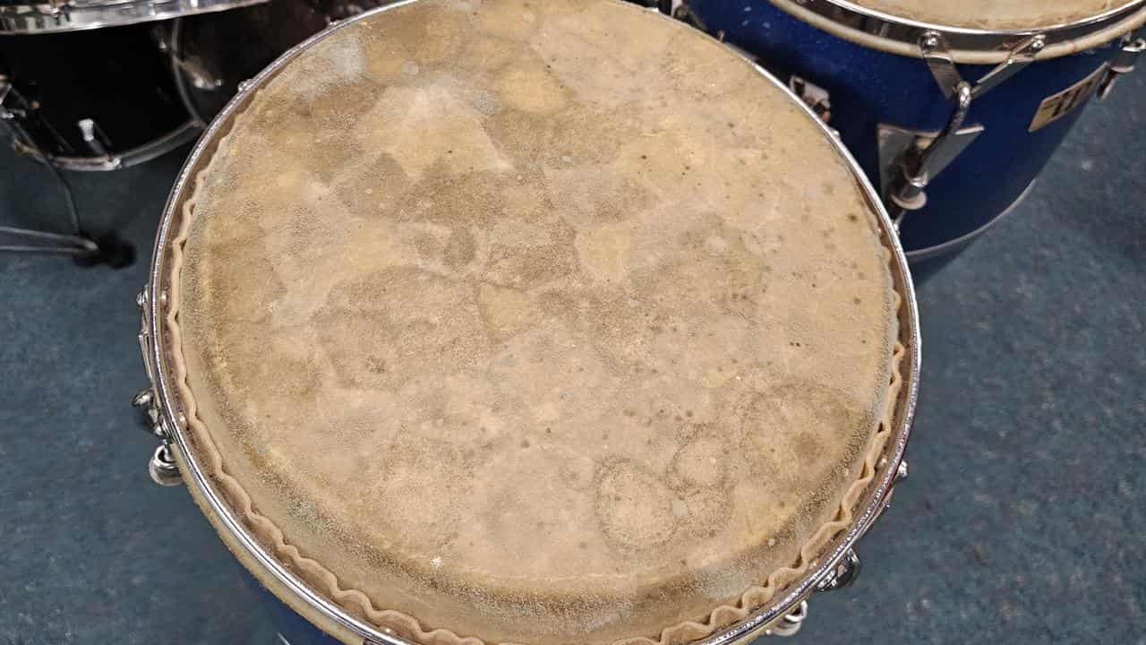 Mould on school drum kits