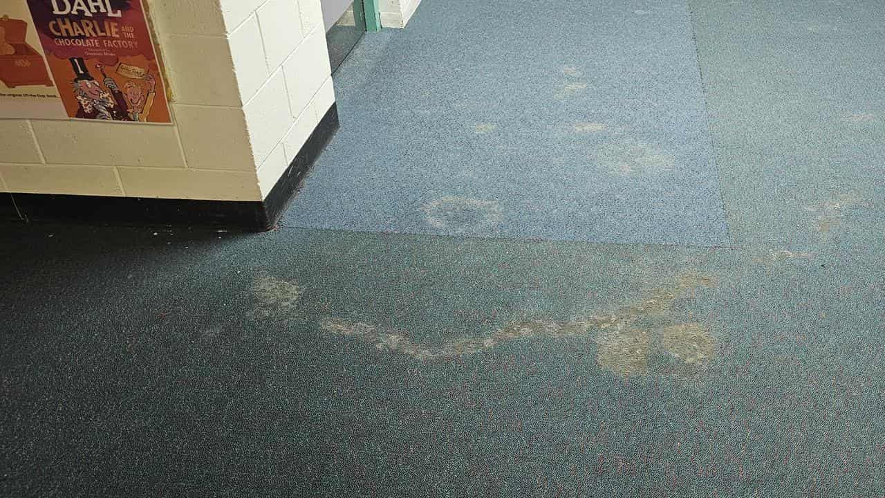 Mould on carpets