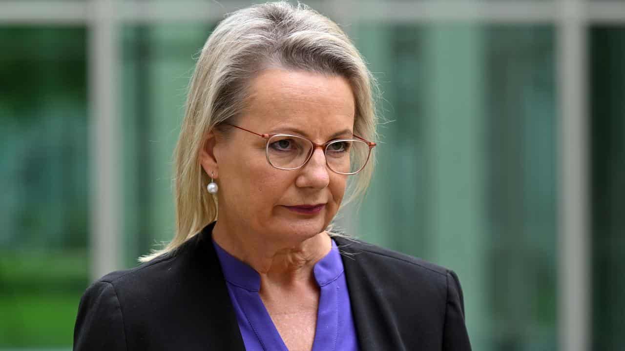 Deputy Leader of the Opposition Sussan Ley