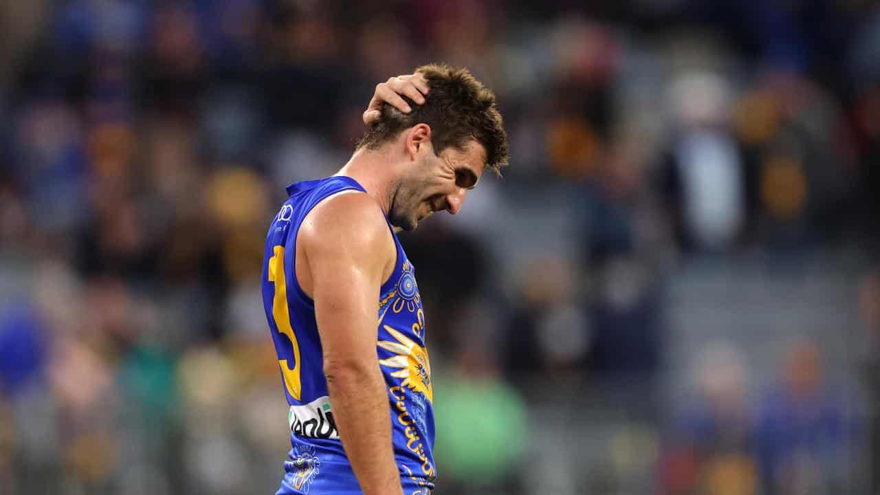 Andrew Gaff.