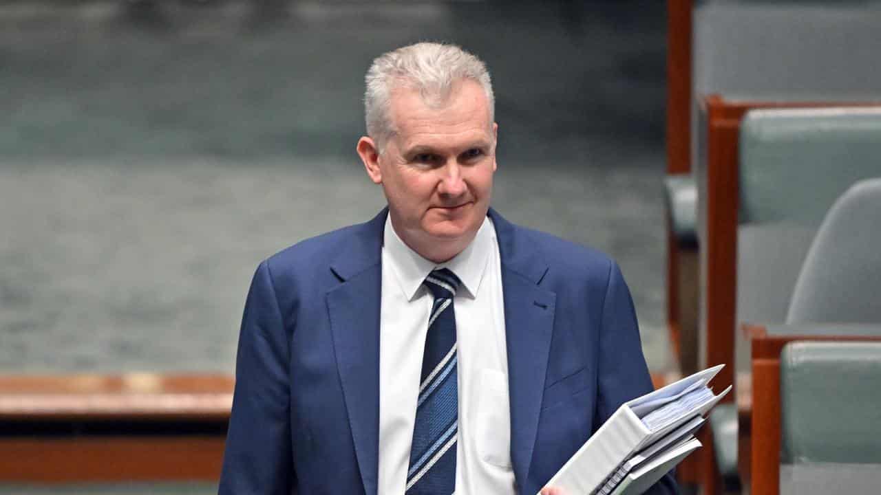 Tony Burke