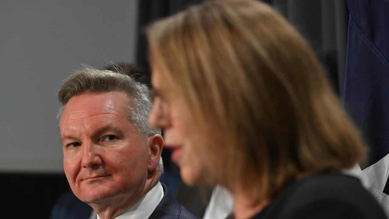 Chris Bowen looks at Catherine King