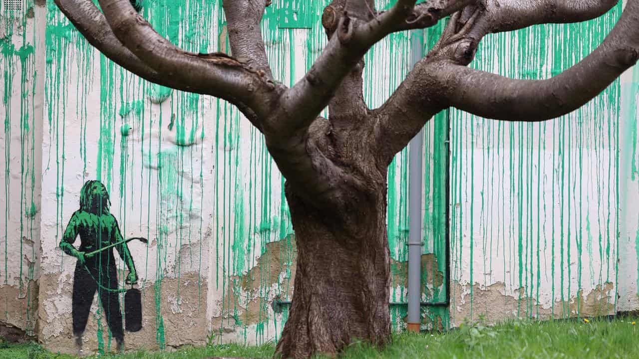 A graffitied Banksy mural near a tree in Finsbury Park area, London