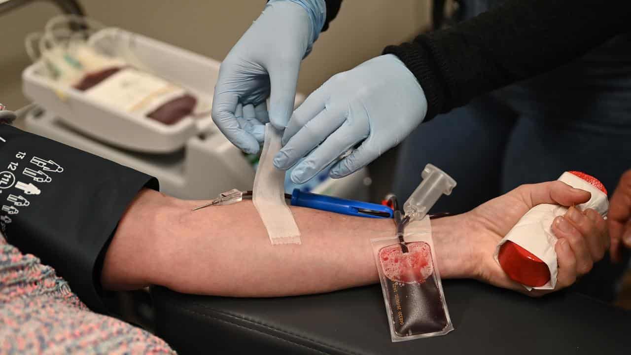 A person donates blood (file image)