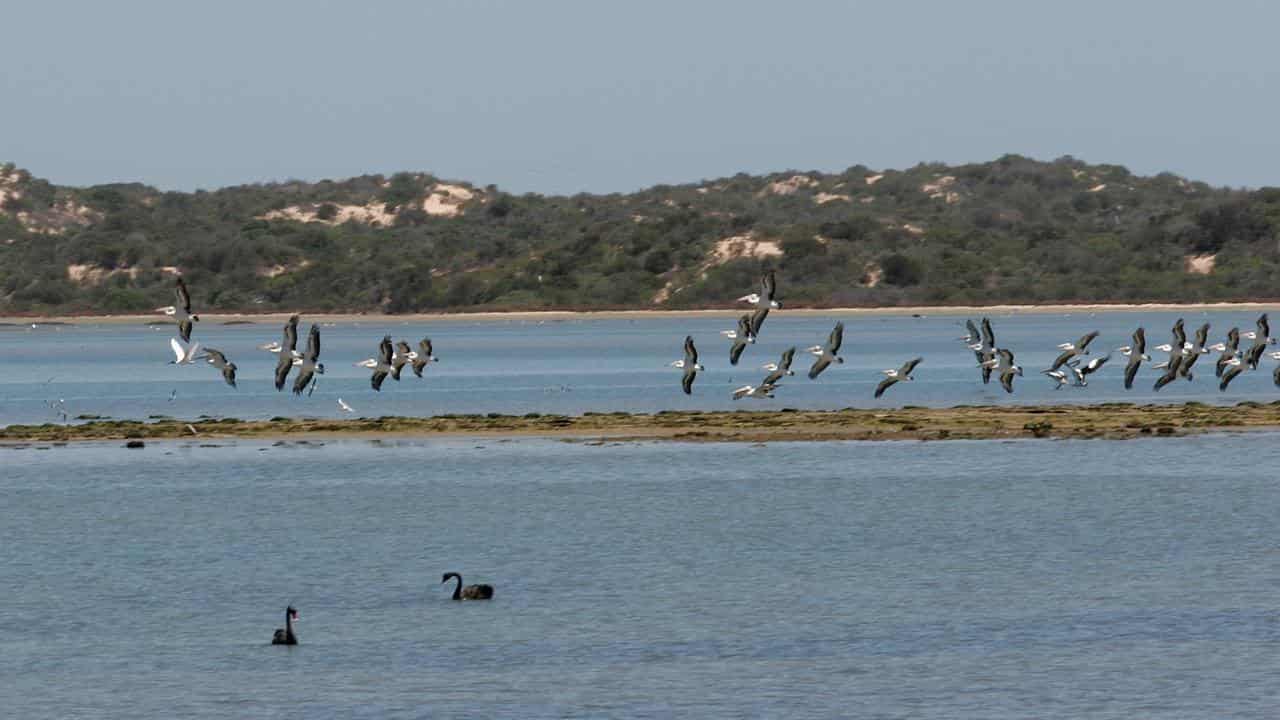 Goolwa Barrage at the Murray River Mouth in South Australia