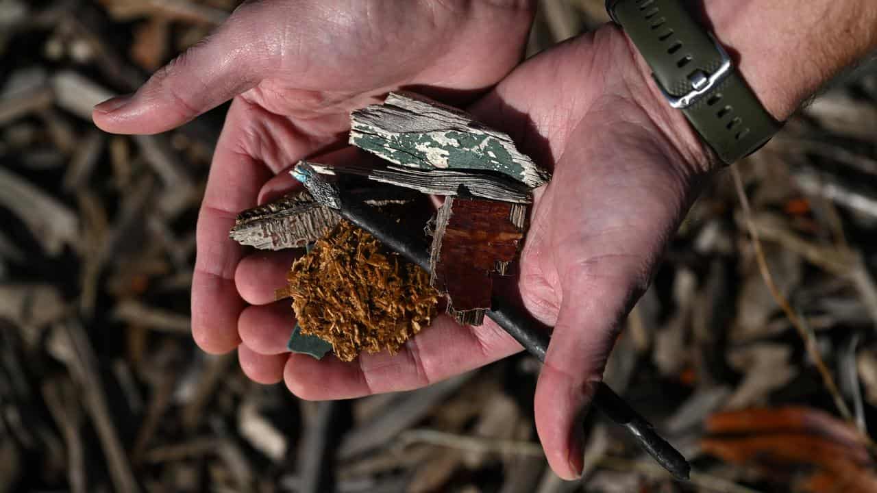 Material found in playground mulch