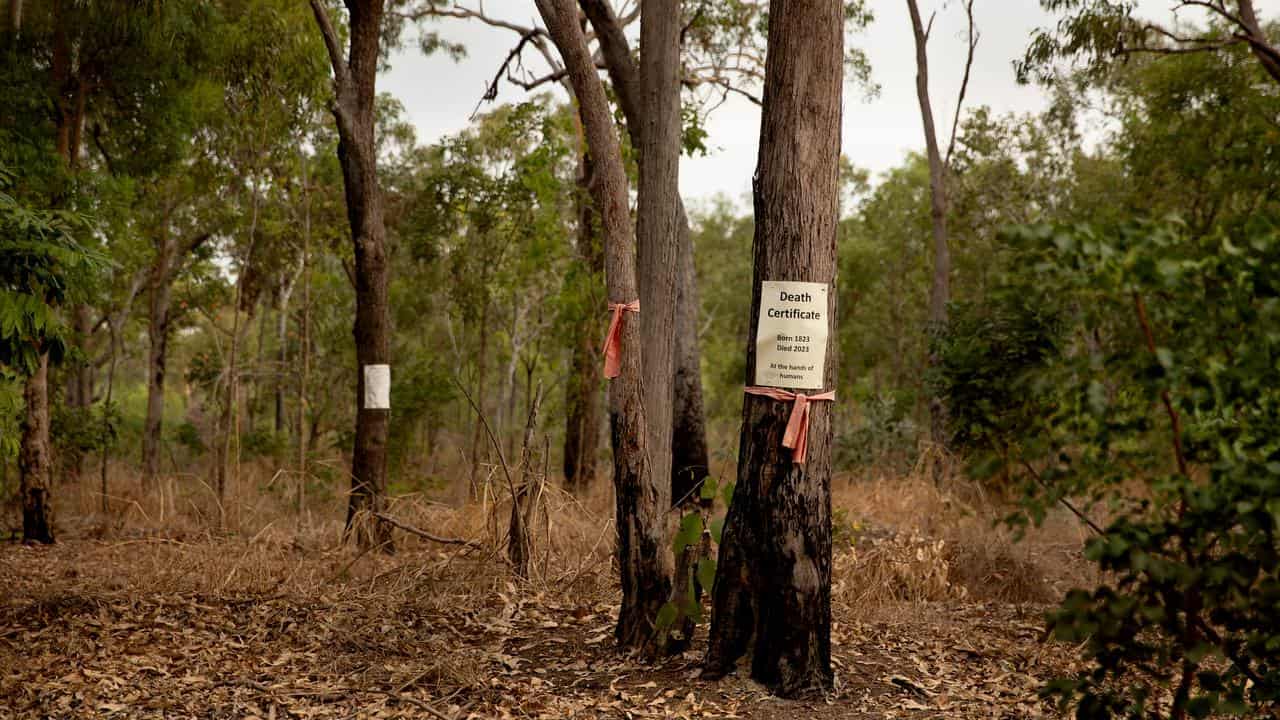 LEE POINT DARWIN