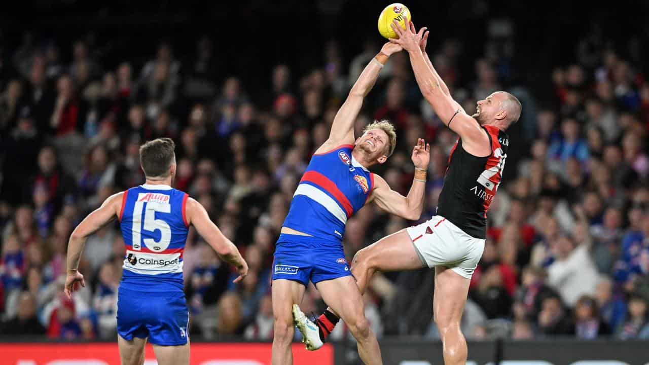 Jack Stringer contests a mark with Adam Treloar.