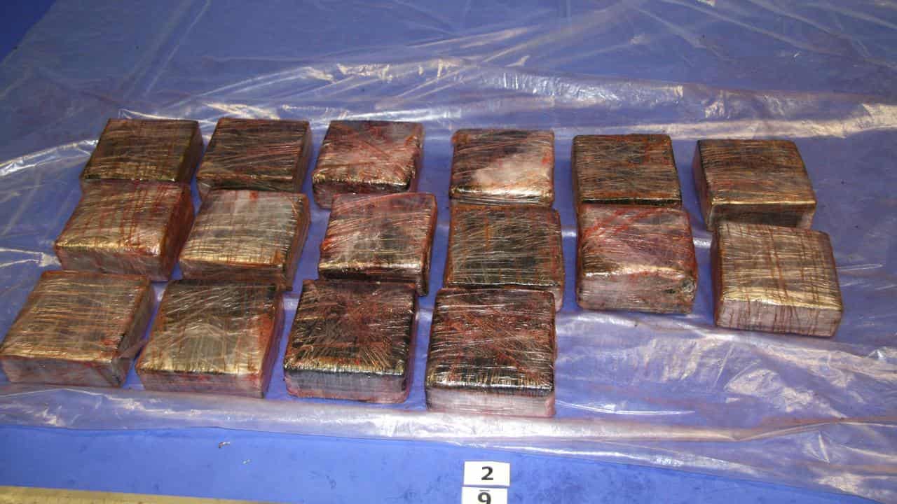 Some of the cocaine seized (file image)