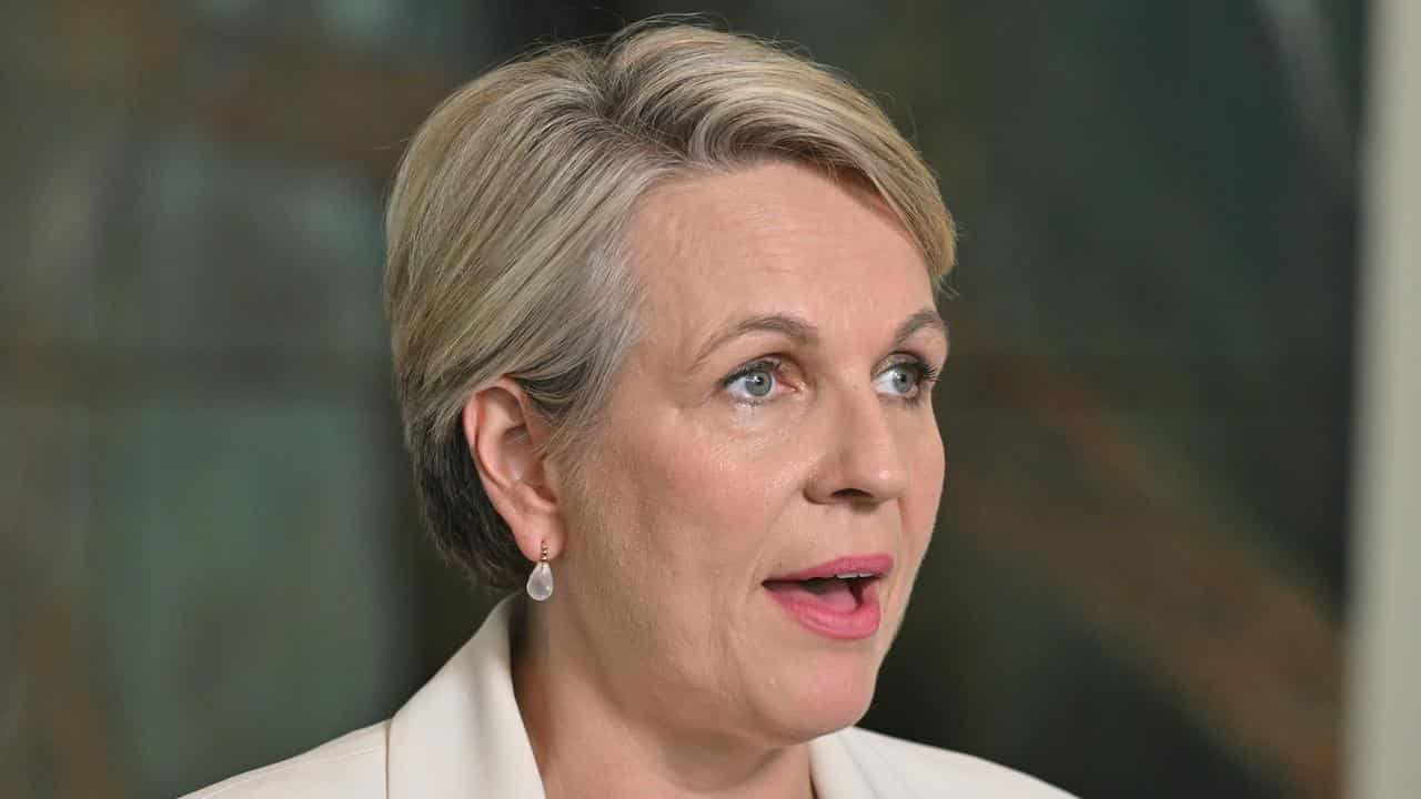 Minister for Environment Tanya Plibersek