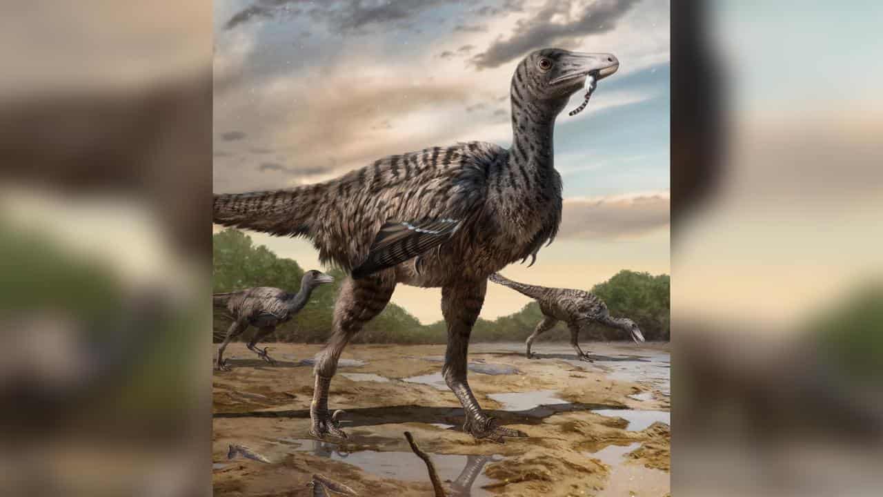 Reconstruction of the raptor dinosaur