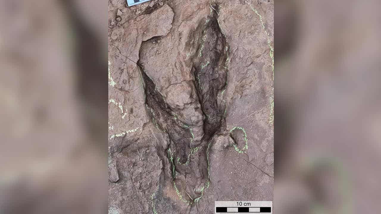 A raptor dinosaur track in Fujian province