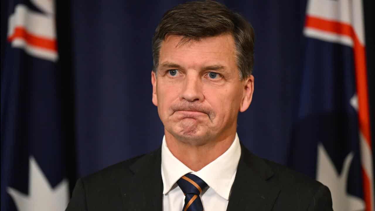 Shadow treasurer Angus Taylor