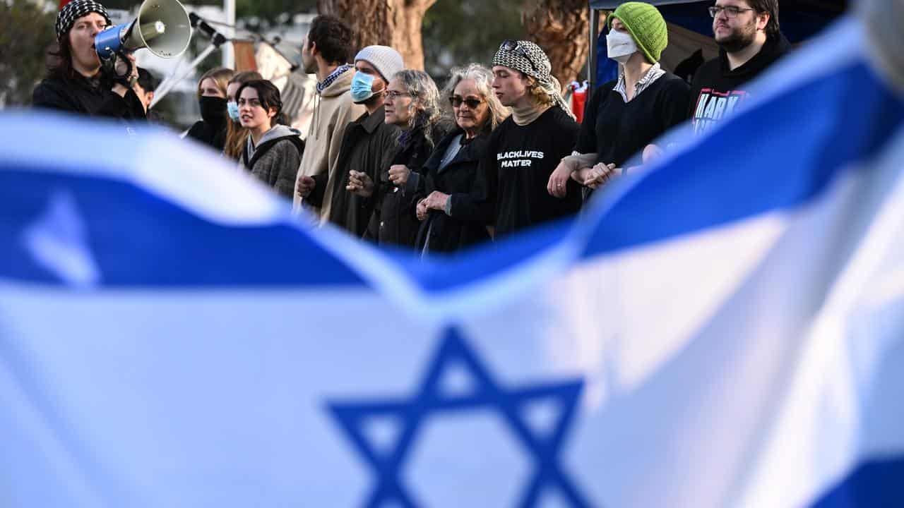 Pro Palestine demonstrators are seen linking arms