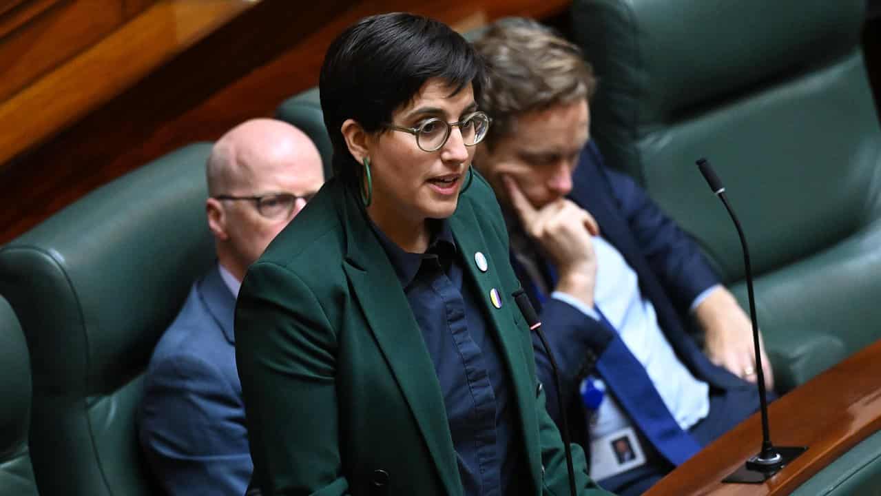 Victorian Greens MP Gabrielle de Vietri