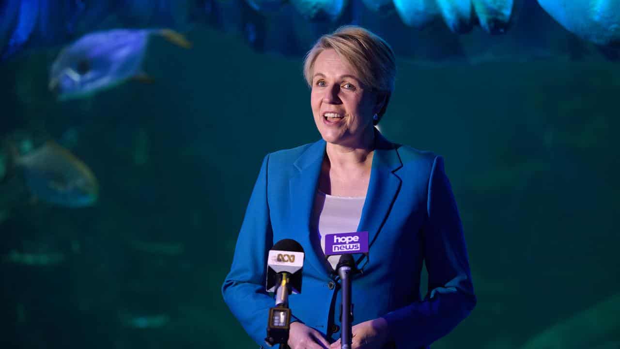 Environment Minister Tanya Plibersek.