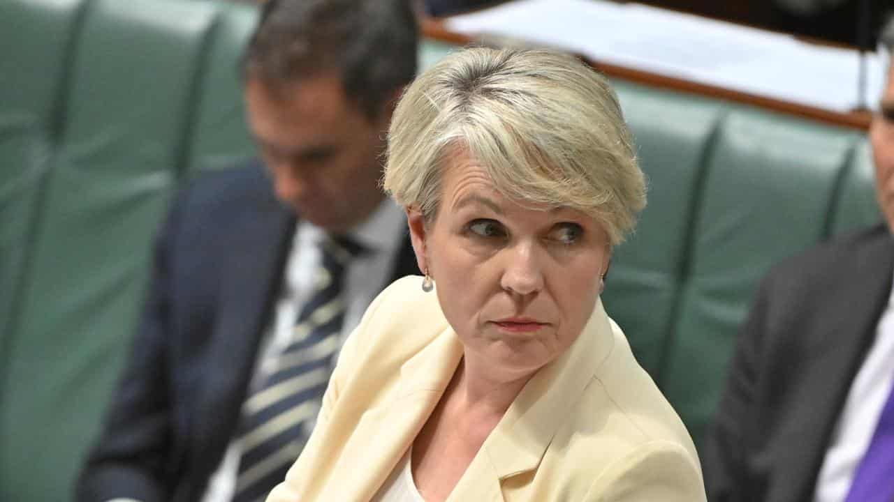 Environment Minister Tanya Plibersek