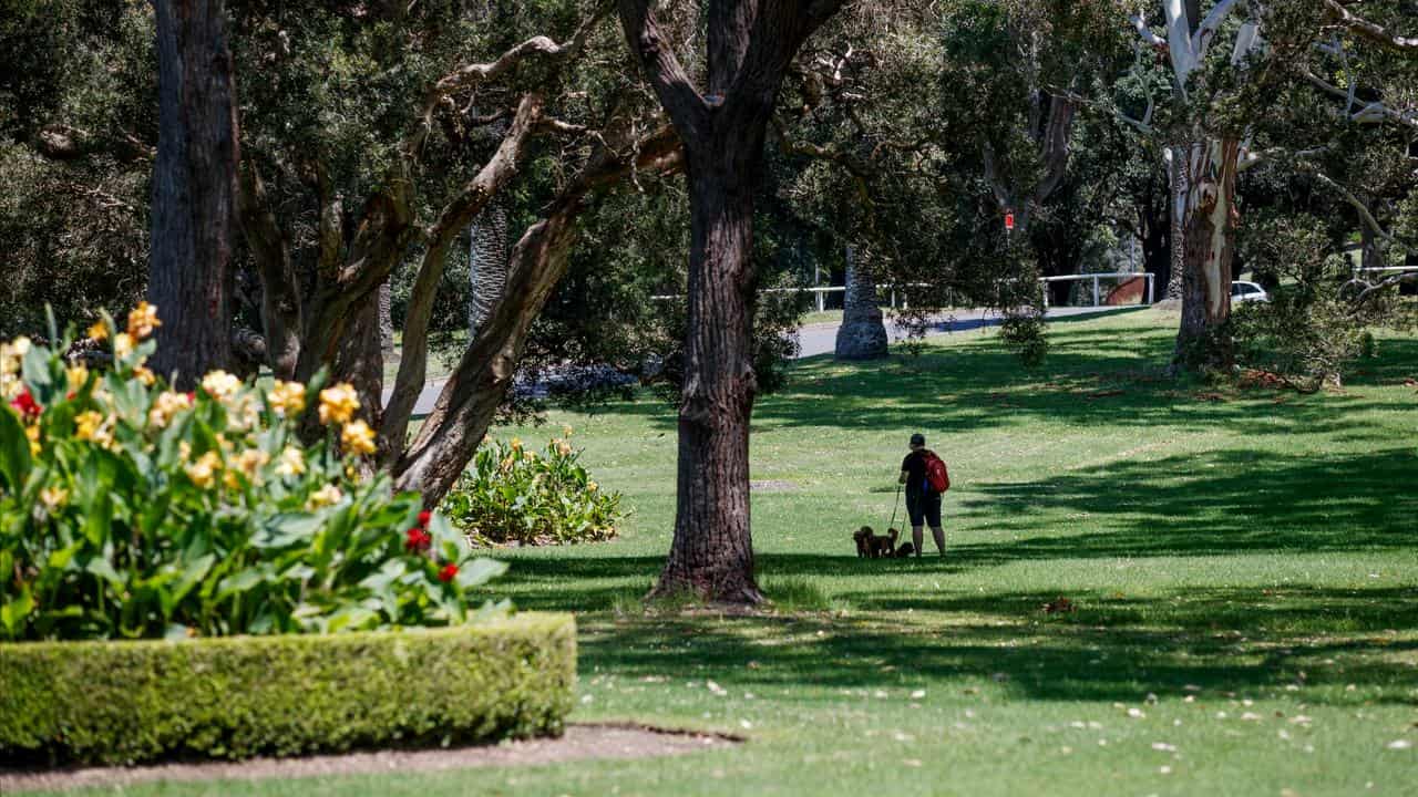 Centennial Park (file image)