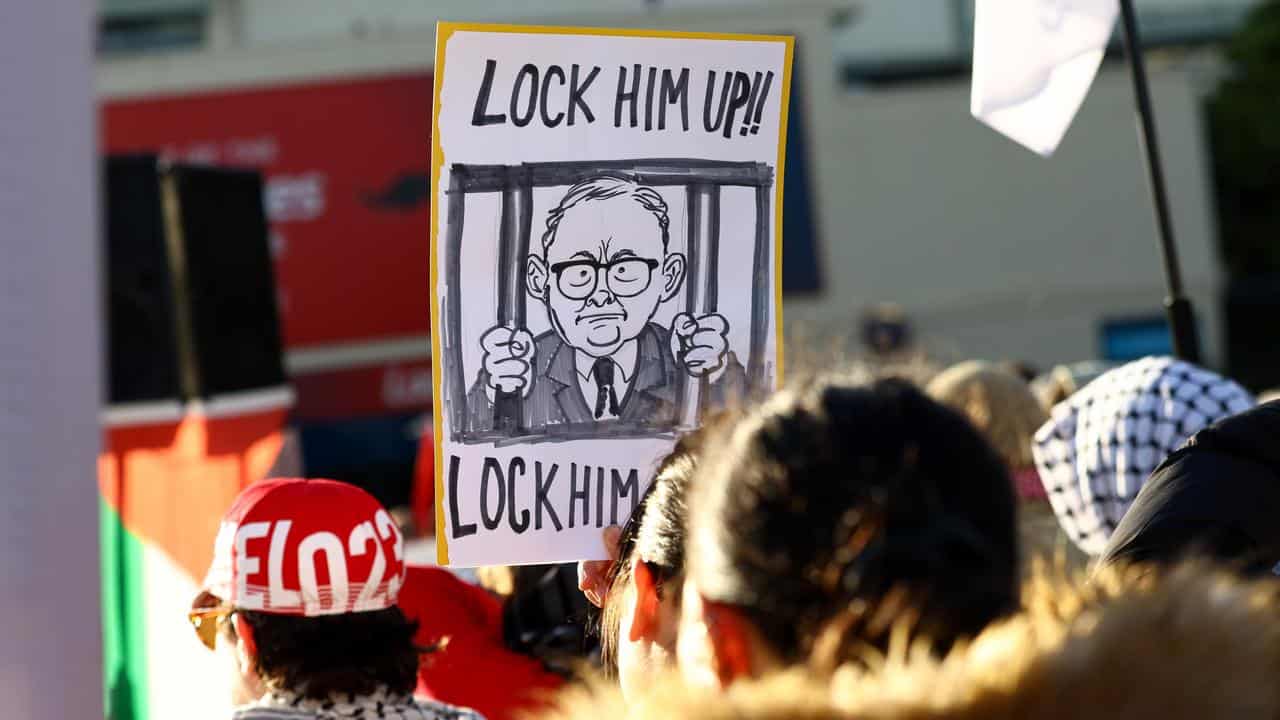 A placard among the Pro-Palestine rally