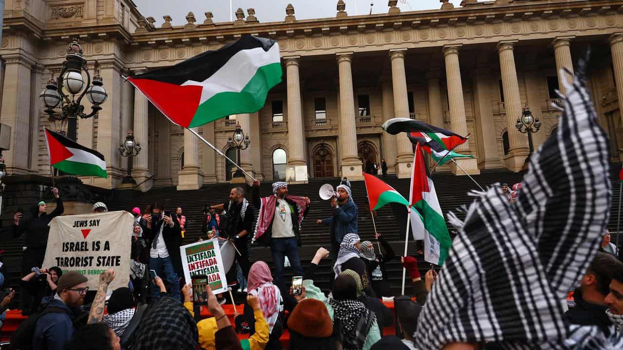 Pro-Palestine protest