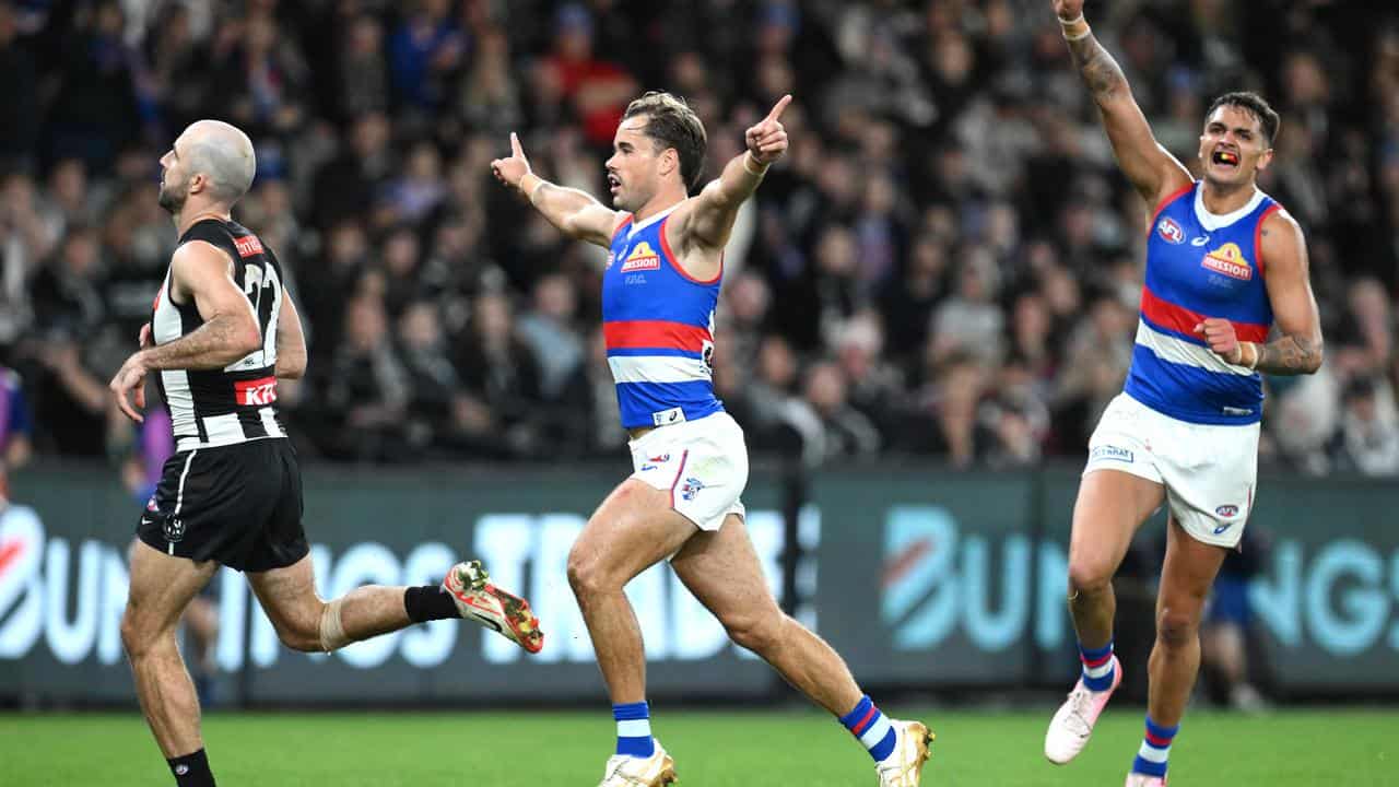 Lachlan McNeil, Jamara Ugle-Hagan celebrate a goal for the Bulldogs.